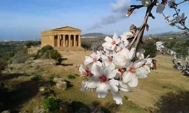 Ferienwohnung Anemone Della Scala Dei Turchi Realmonte Exterior foto